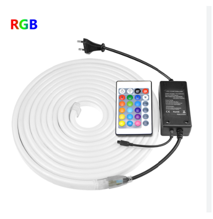 NEON FLEX SMART RGB 5M