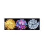 Guirlandes lumineuses 50MRGB+BLANC-JAUNE – Image 2