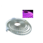 Ruban LED  Rose 220V (1 Metre) 120LED