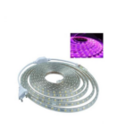 Ruban LED  Rose 220V (1 Metre) 120LED