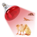 lampe poussin vitamine C infrarouge E27 250W
