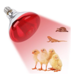 lampe poussin vitamine C infrarouge E27 250W