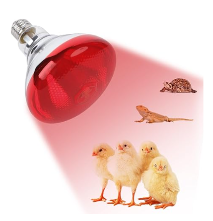 J lampe poussin vitamine C infrarouge E27 250W – Image 1