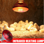 lampe poussin vitamine C infrarouge E27 250W – Image 3