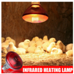 lampe poussin vitamine C infrarouge E27 250W
