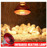 lampe poussin vitamine C infrarouge E27 250W