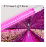 Tube LED VIOLET T8 120cm 20 W – Image 2