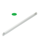Tube néon  44cm T4 12W-VERT